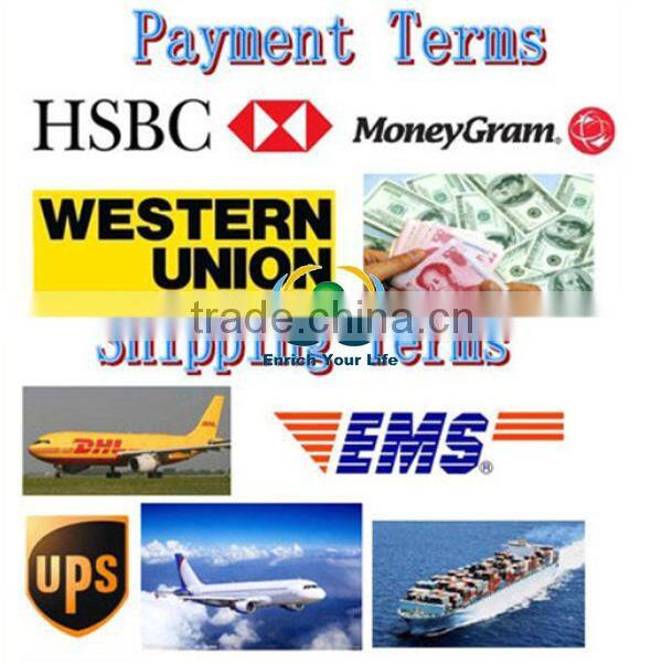 AC 100-240 Switching Power Supply adapter DC US 6.5V 1A 2a 2.5mm Power cord