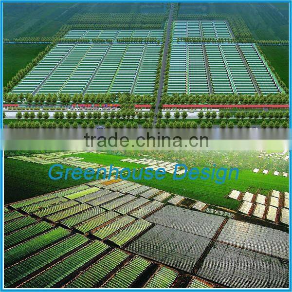 Professional solar high tunnel hot galvanized steel green houses for agriculture