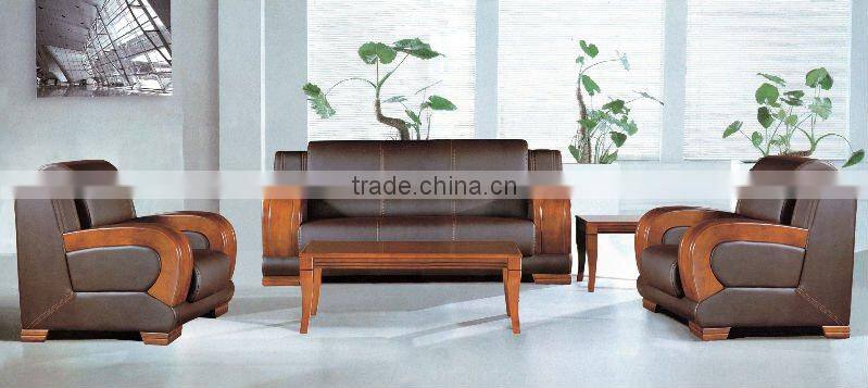 professional design sofa modern