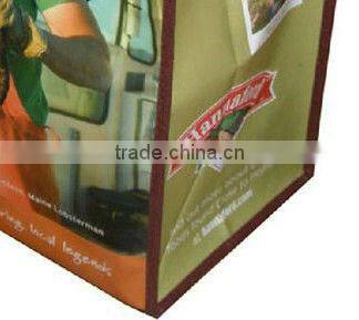 Wholesale reuseable shopping bags PP Woven bag Laminated Matt finish with webbing handle