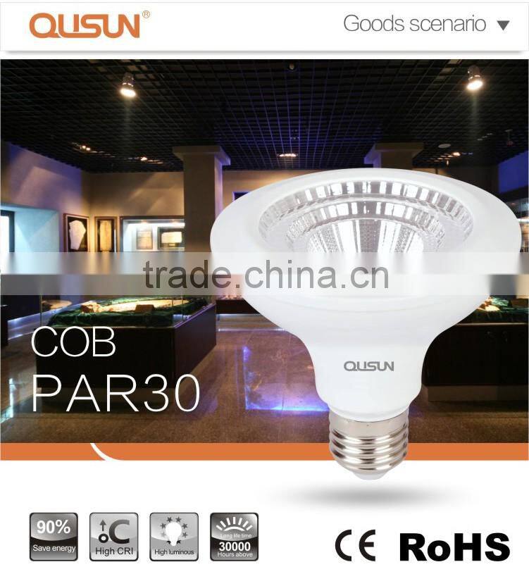 CE ROHS COB par30 LED Par Light spot lights led