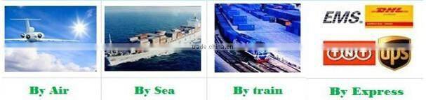 YQ-100 Phase Inducion Motor CSR motor for Metro, EMU