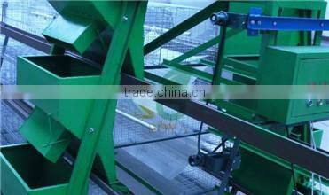 Automatic animal farm equipment poultry drinkers and chicken feeding system