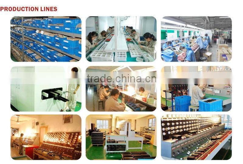 600w Pure Sine Wave Power Inverter