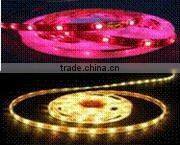 DC12V Batery Powed KTV&Outline LED Strip Lighting