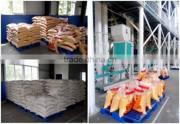 ISO BV certificated 50 ton per day maize flour mill