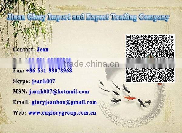 CNC Router Advertising Machine 6090