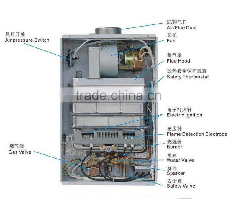 Balanced exhaust gas water heater with double pipe