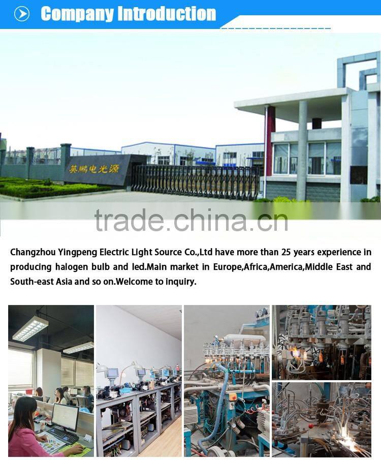 high brightness 12V super blue halogen h4