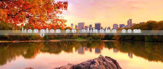 wood louver shutter door