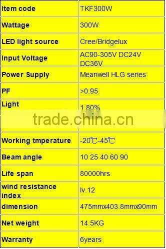 300W led wall pack football stadium model light