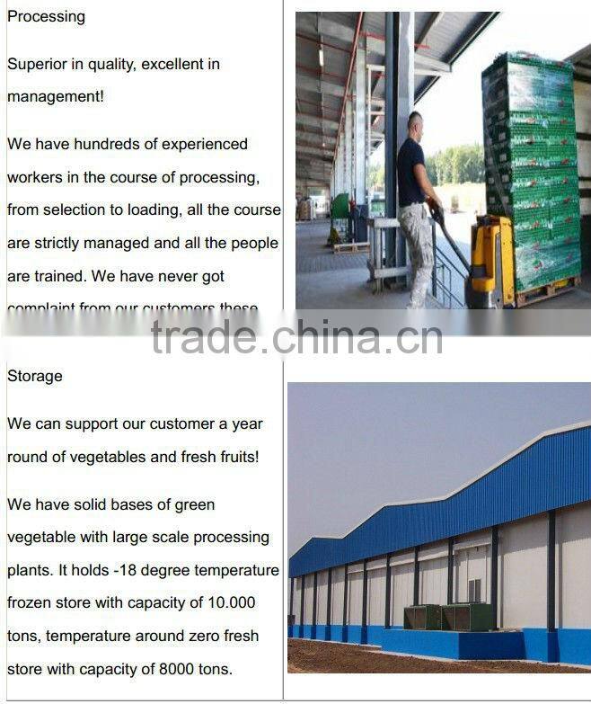 2014 good farmer carrot S(70-150g)/M(150-220g)/L(220-290g)