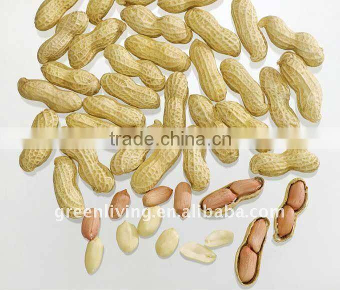 Chinese Peanuts Good Quality