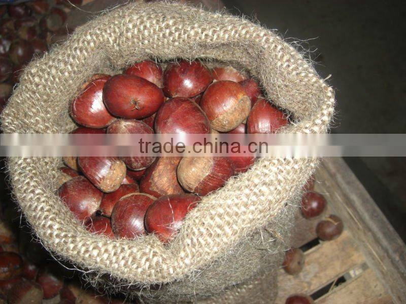 new crop chinese chestnut