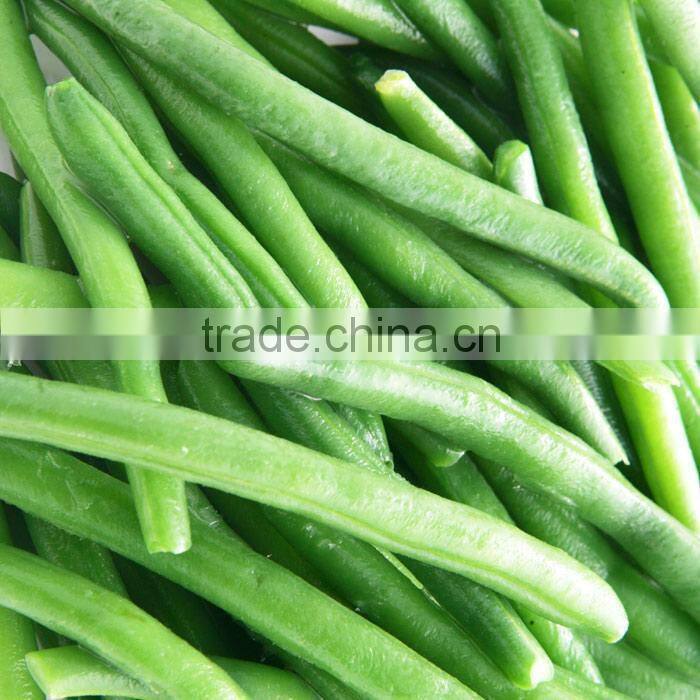 Cheap wholesale canned green beans