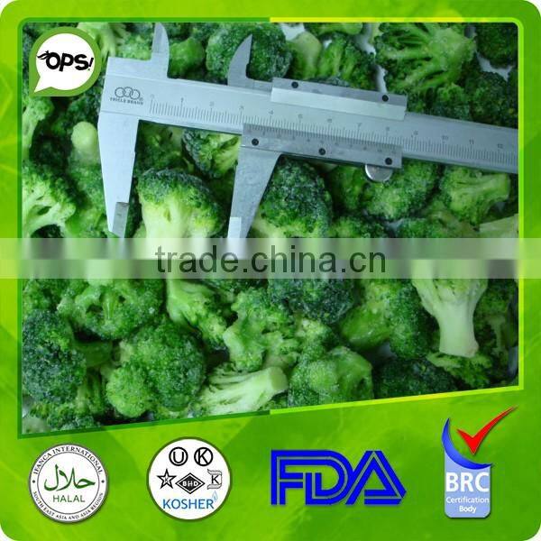 New crop Frozen Broccoli