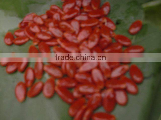 Seel Red /black Watermelon seed in low price with large order