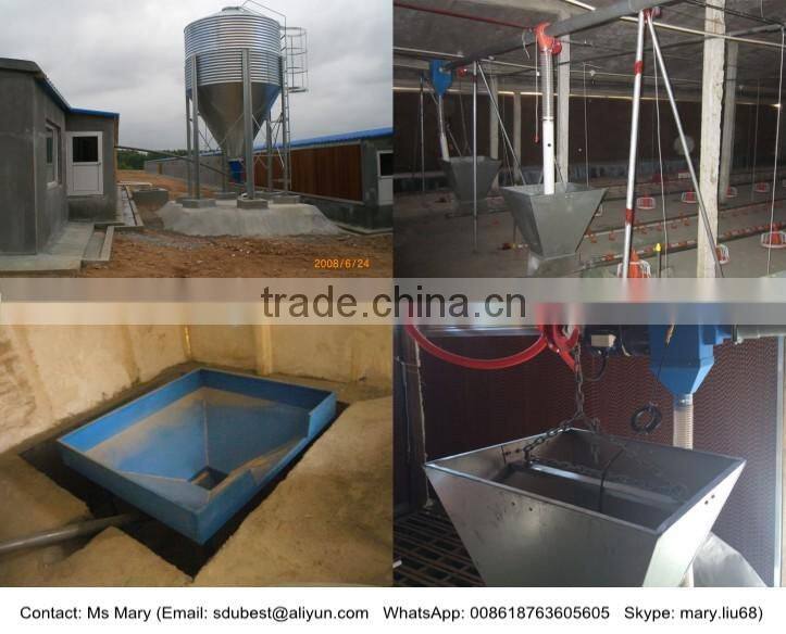 Automatic chicken feeding equipment for broilers
