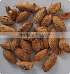 CCD almond with color sorter machine