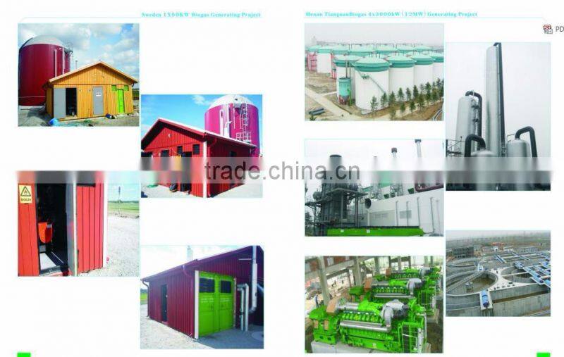 Camda Factory biogas generator sets with/without canopy 250kw biogas generator