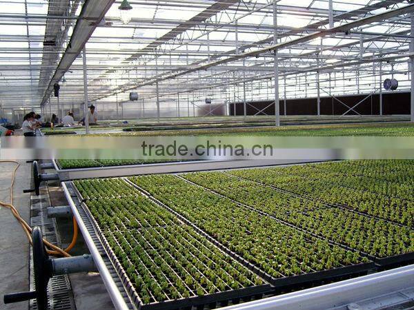 Greenhouse Seedling Nursery Bed