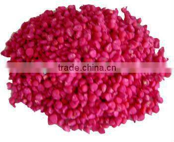 Wheat seed coater/Peanut seed coating machine