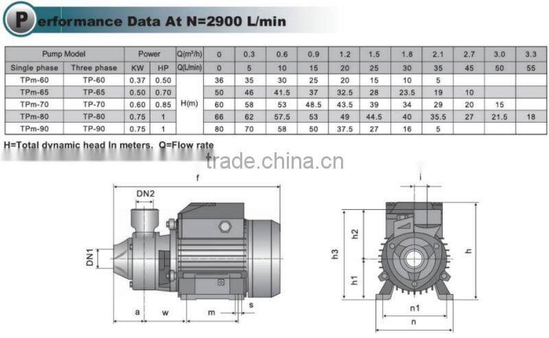Cast iron end suction peripheral pumps TPm80