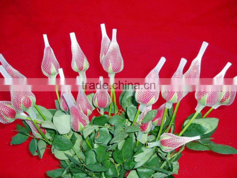 Egg Packing Bag Production Line