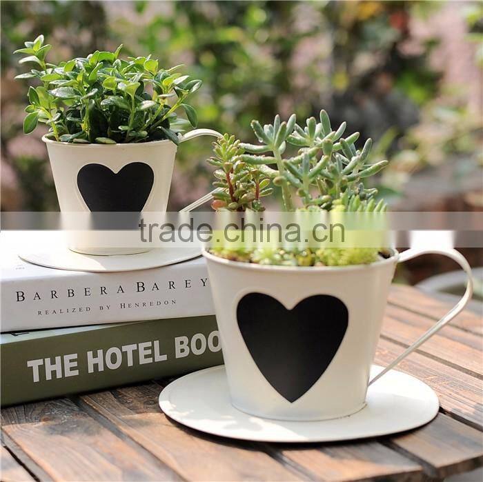 Colorful Garden Plants Small Decoration Metal Flower Pot