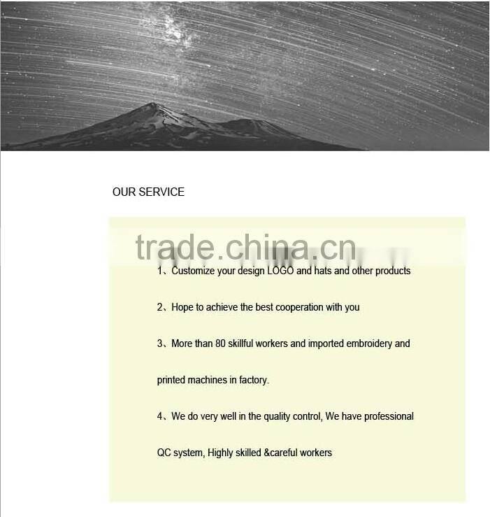 Fashion Customised Plastic Letters Logo Plain Leather Snapback Hat/Cap Wholesale