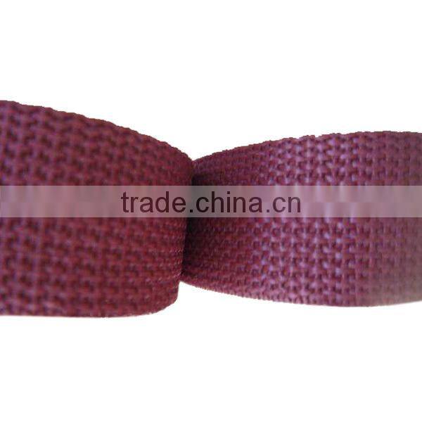 2016 Fashion PP Webbing Band