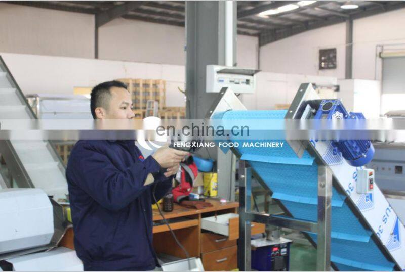 FK-332 Automatic Grinder Type Meat Fish Mincer Paste Making Mincing Machine with table size