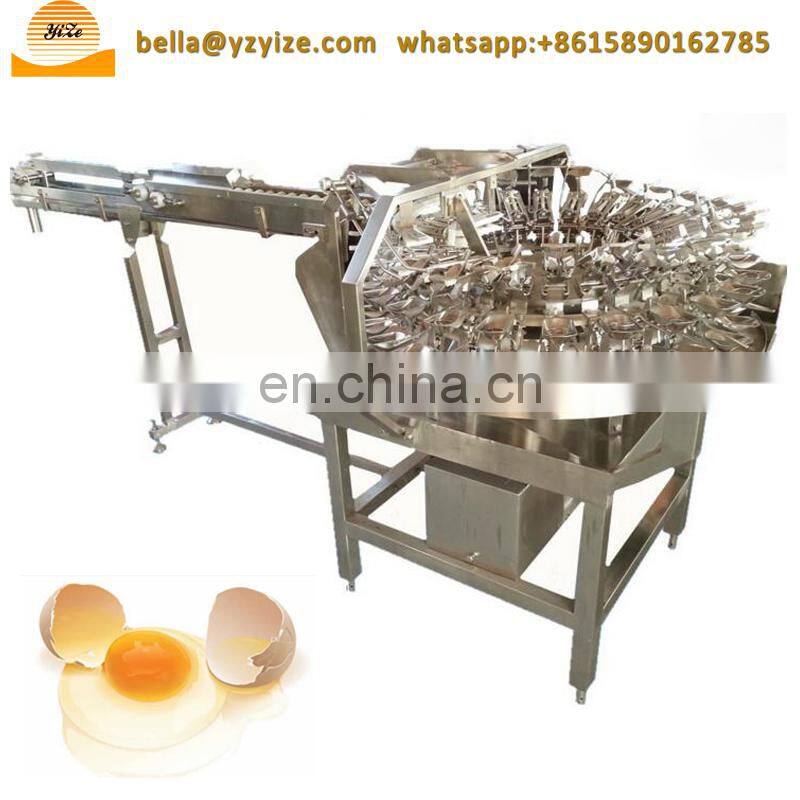 Boiled quail egg shell peeling shelling machine quail eggs decorticating machine