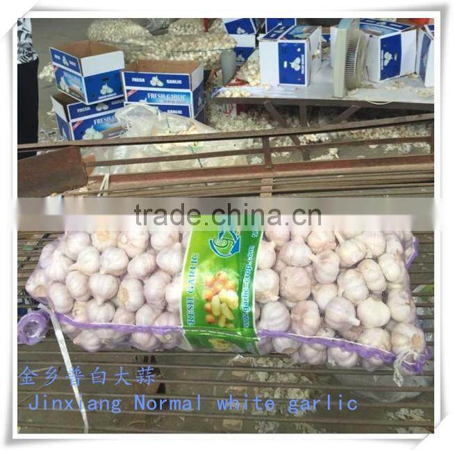 2016 new crop fresh garlic in 10kg mesh bag and carton China export garlic