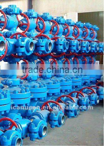 Injection Wellhead Assembly