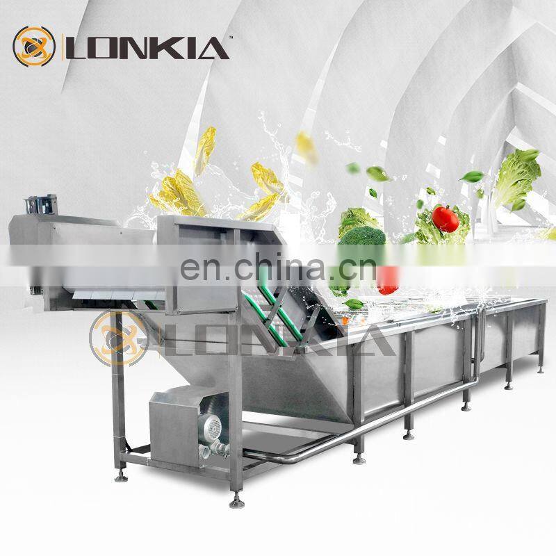 Best Price Fresh Fruit Mango Apple Cleaning Machine Air Bubble Vegetable Washing Machine