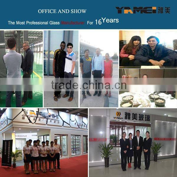 Online selling! 12mm thick toughened glass for door