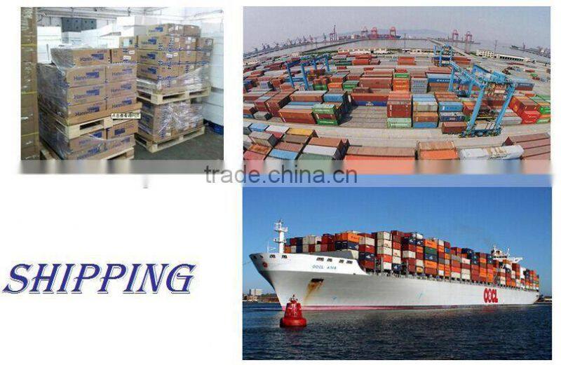 6W Sun Power Car Battery Trickle Charger with Cigarette Lighter Plug Cable