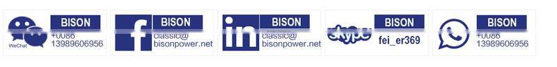BISON(CHINA) 10kw Output Power Twin Cylinder Air Cooled Open Structure Portable Generator