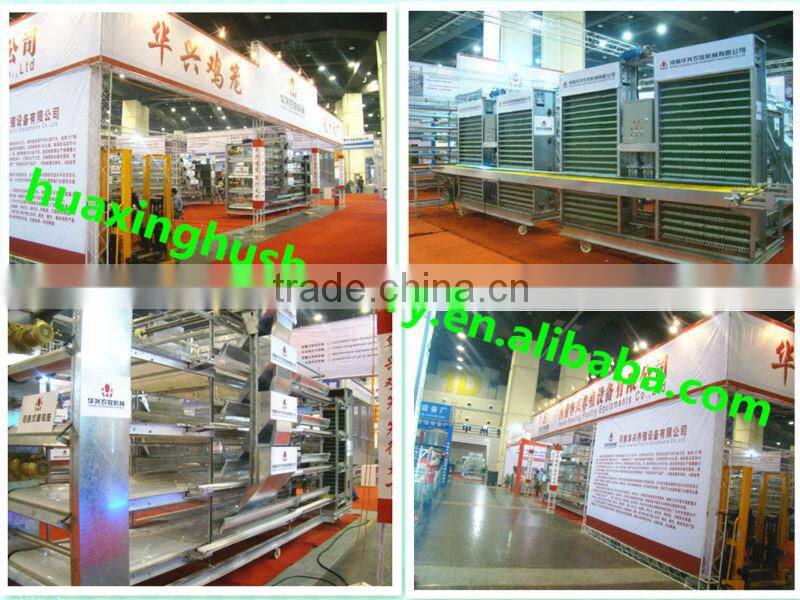 Poultry chicken cage including installation and after-sale service for sale
