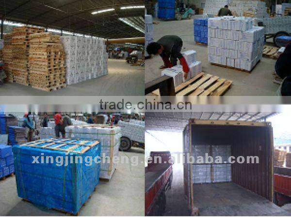 butterfly porcelain tile pilate polished porcelain tiles