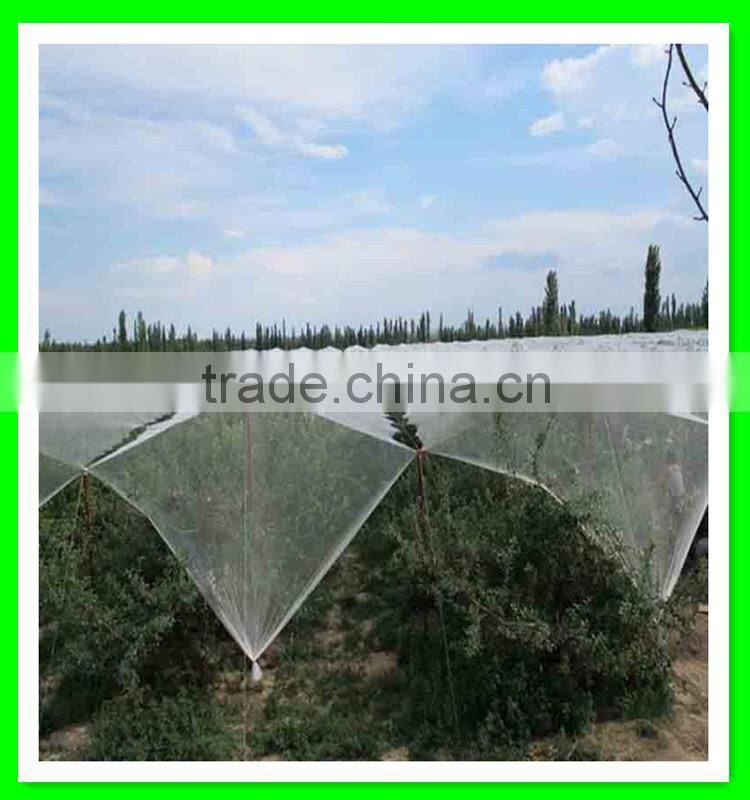 Henan Suntex supply hail guard mesh/anti hail structure netting/UV treated anti hail net