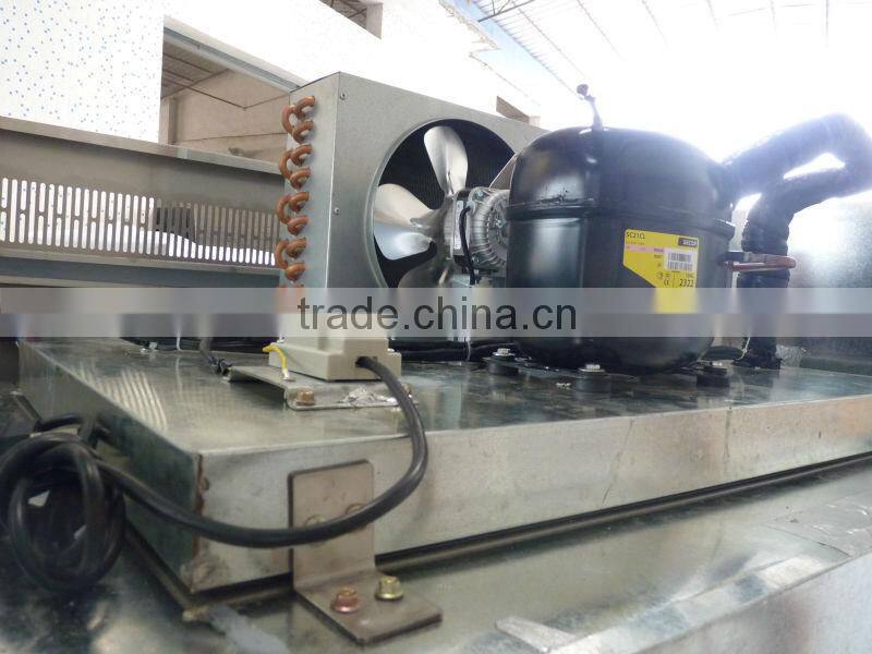 vertical deep freezer auto defrost for cake and pizza