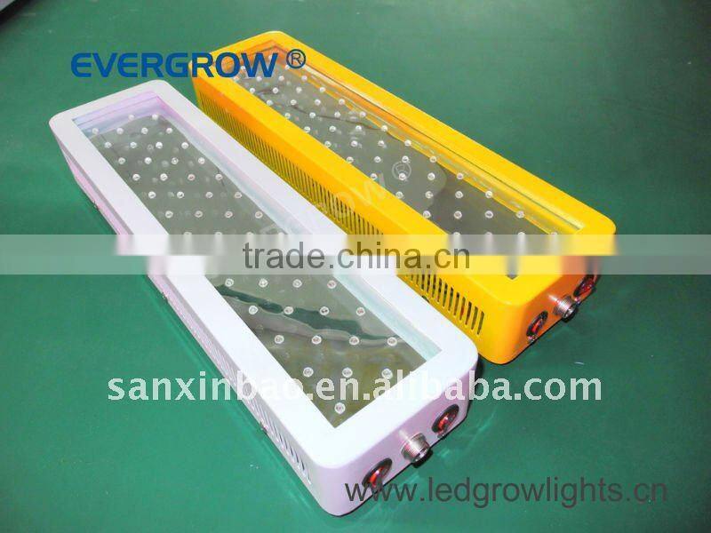 100W yellow led chips high power led grow light panel EG-50*3W-GPY-SXB
