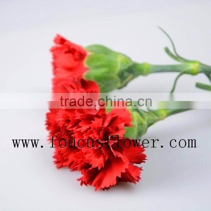 2016 A Quality Gold Carnation Brooch Gold Carnation Cut Flower