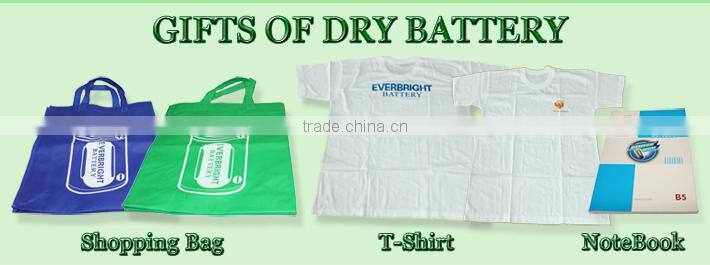 2016 Size D R20 Zinc Carbon Battery