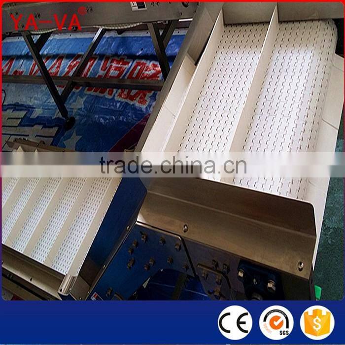 Food Grade Conveyor for Food Industry