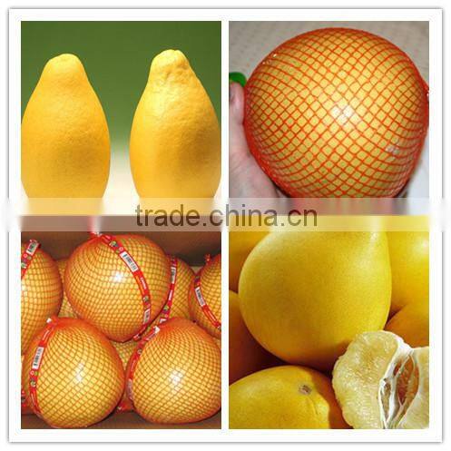 Hot sale fresh honey Pomelo foy sale