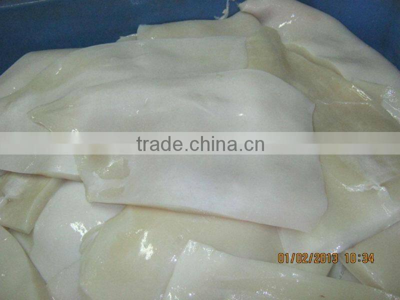 frozen giant squid fillets
