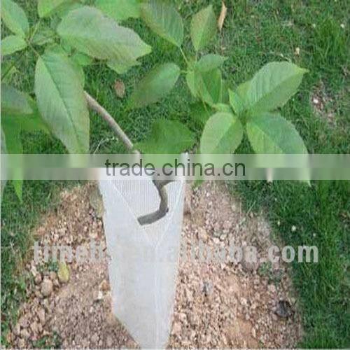 coroplast tree shelters